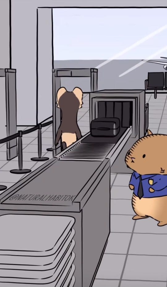 Post 8 by House of Animations on TikTok (video)