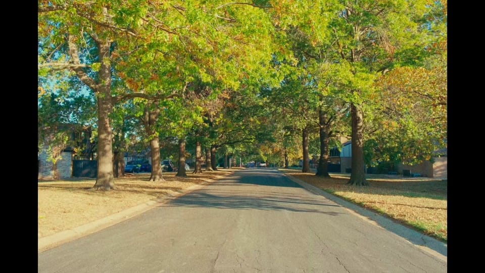 Post 9 by Ethan Ahn on TikTok (video)