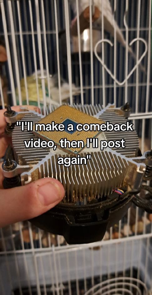 Post 2 by Atomic Woof on TikTok (video)