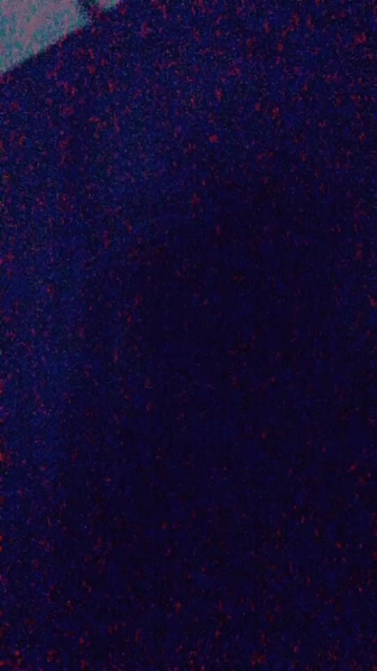 Post 7 by Milo on TikTok (video)