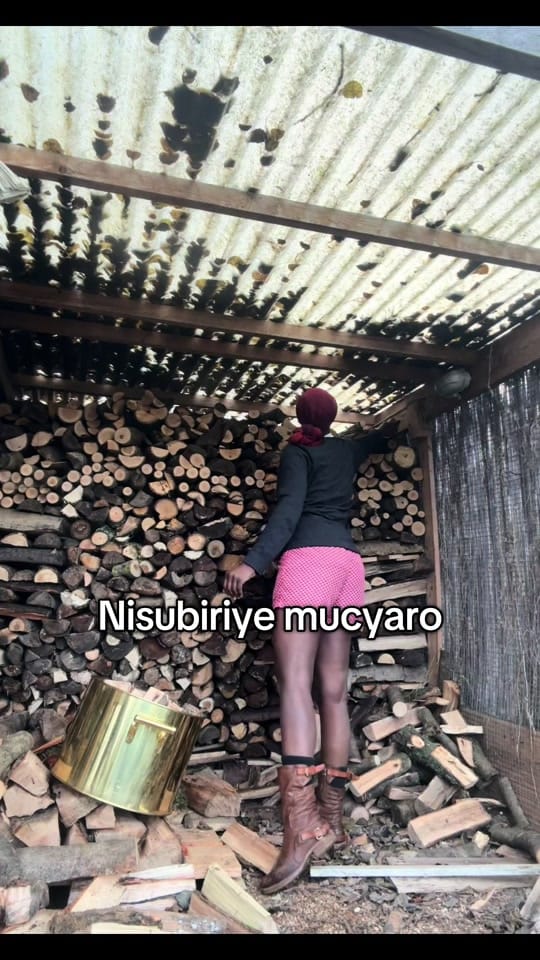 Post 3 by alineamike on TikTok (video)