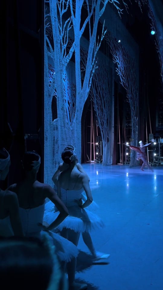 Post 10 by State Ballet of Georgia on TikTok (video)