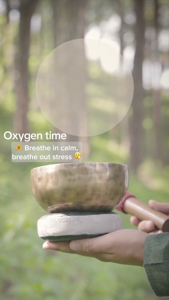 Post 1 by Aurabowls on TikTok (video)