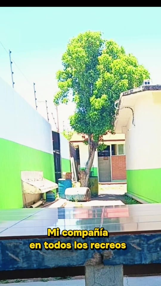 Post 1 by Clases de bajo presupuesto. on TikTok (video)