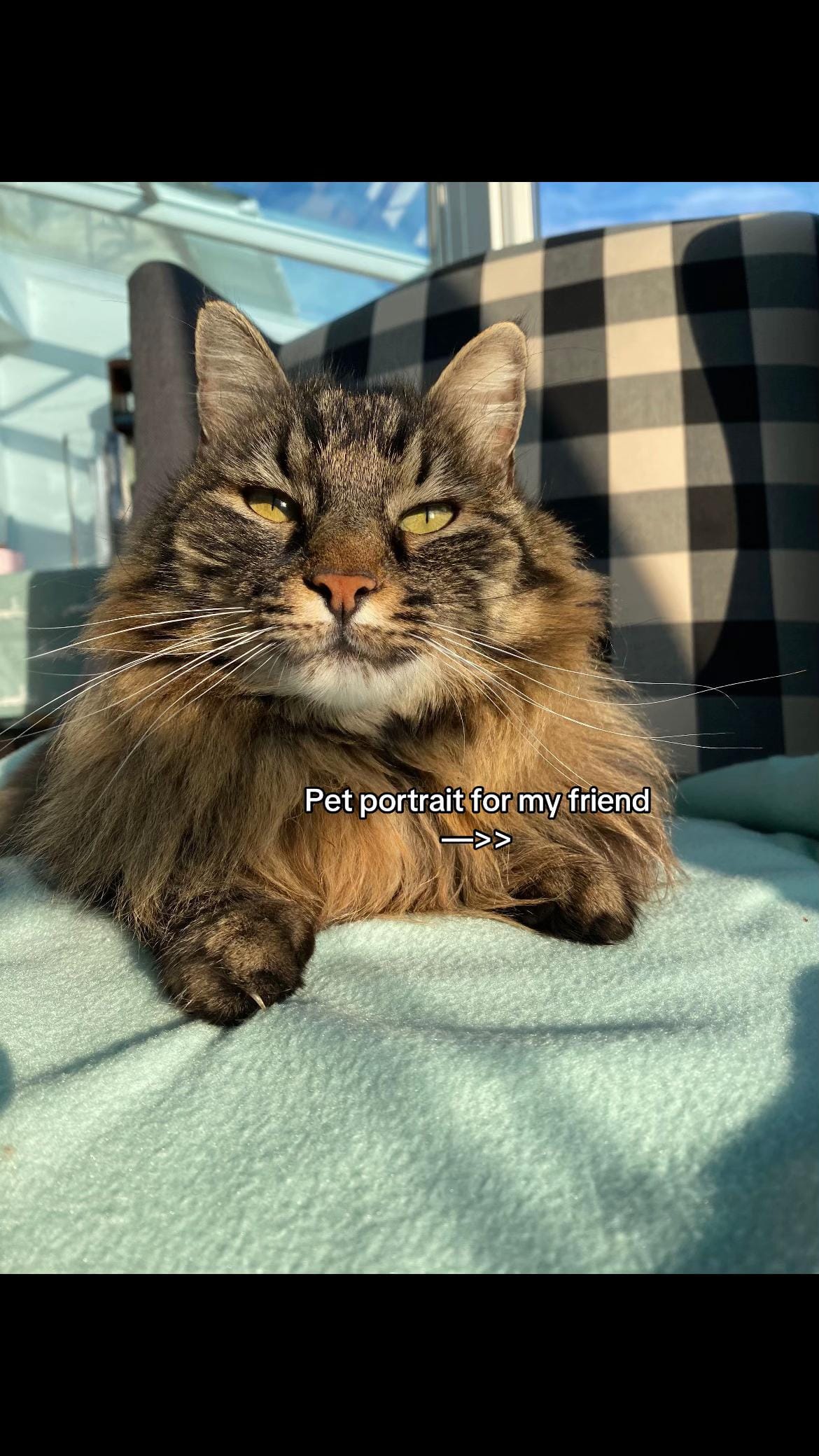 Post 6 by James on TikTok (video)
