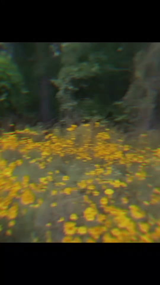 Post 2 by CatfishJane on TikTok (video)