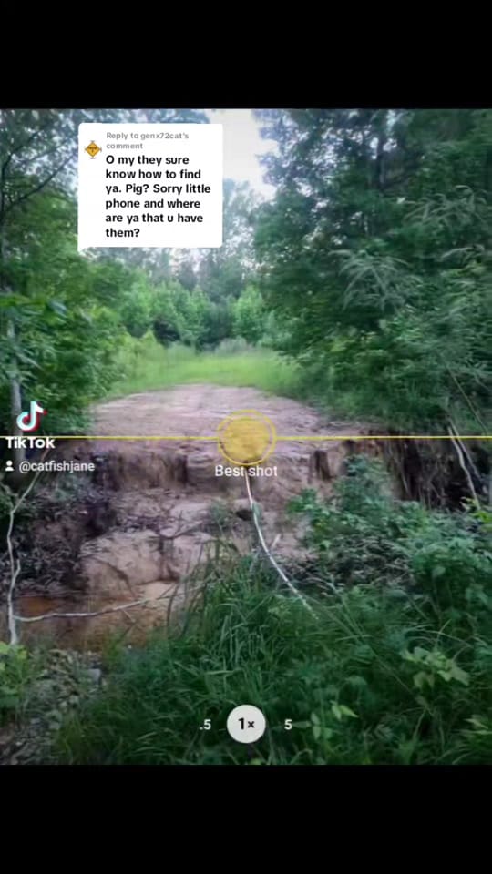 Post 9 by CatfishJane on TikTok (video)