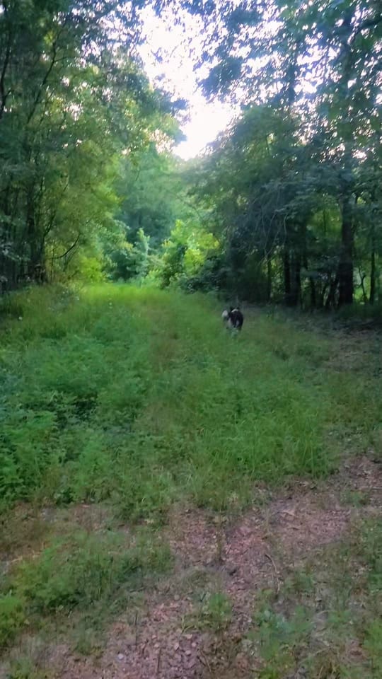 Post 10 by CatfishJane on TikTok (video)
