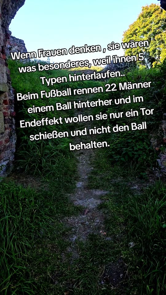 Post 4 by 🔹️Timo🔹️ on TikTok (video)