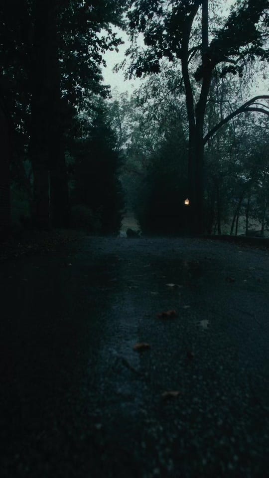 Post 5 by Rami on TikTok (video)