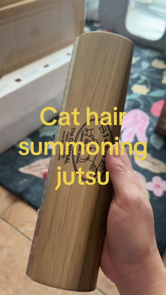 Post 4 by meloncreamcat on TikTok (video)