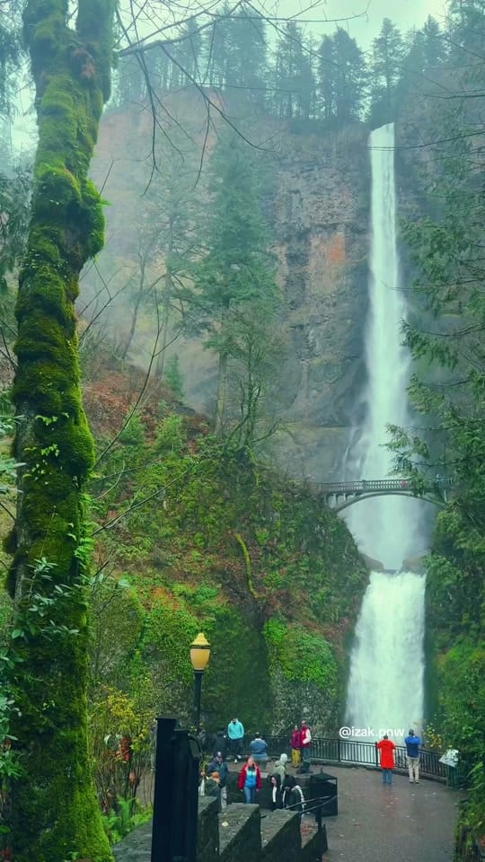 Post 1 by izak.pnw on TikTok (video)
