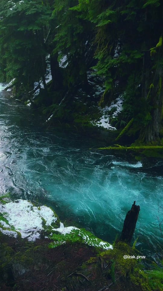 Post 9 by izak.pnw on TikTok (video)