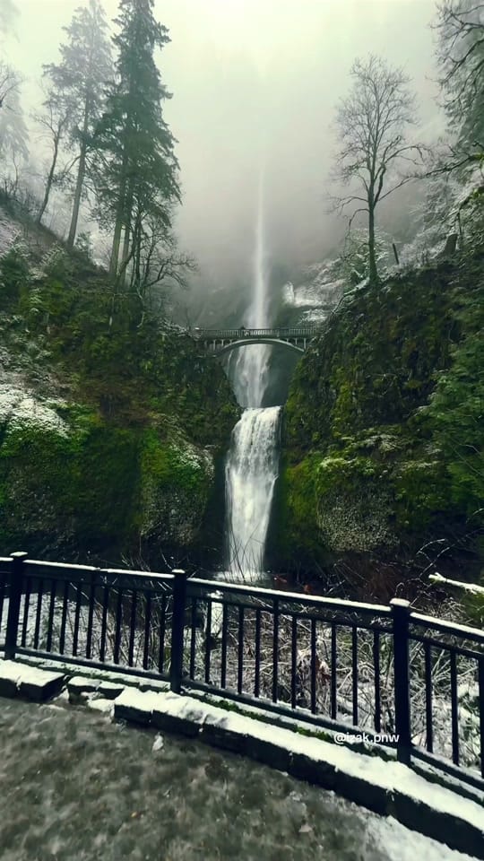 Post 7 by izak.pnw on TikTok (video)