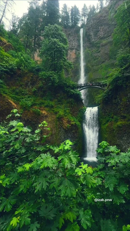 Post 5 by izak.pnw on TikTok (video)