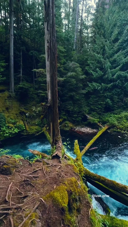 Post 4 by izak.pnw on TikTok (video)