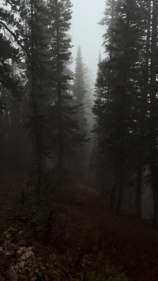 Post 7 by ￶ on TikTok (video)