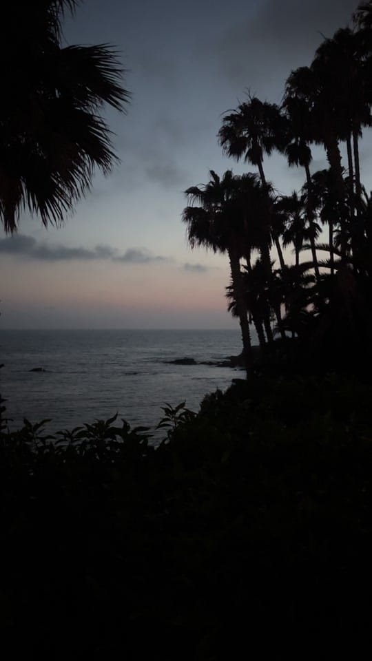Post 3 by ￶ on TikTok (video)