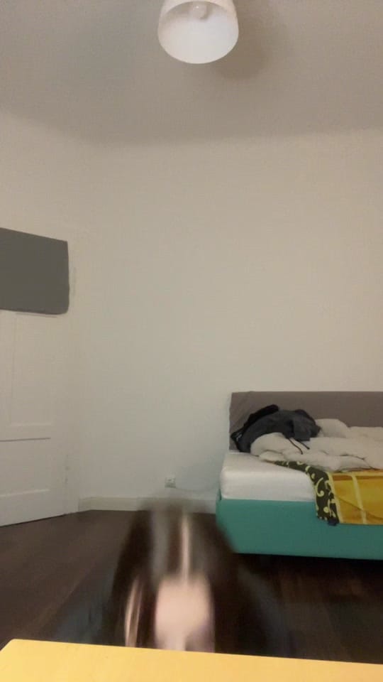 Post 5 by Iry⋆˚꩜｡ on TikTok (video)