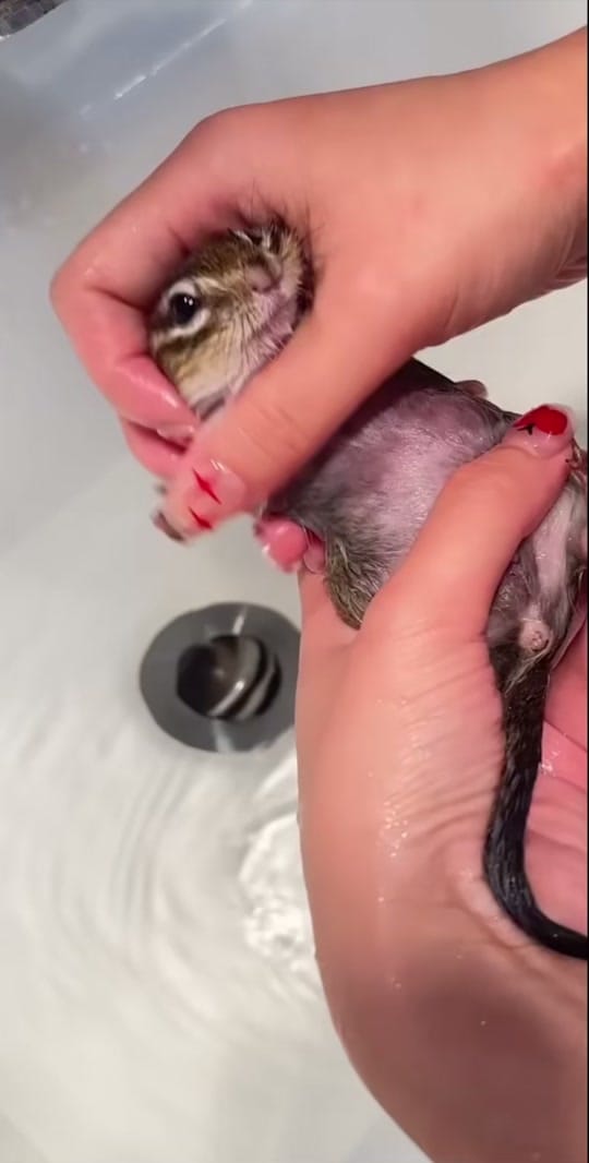 Post 3 by ALEX UK. on TikTok (video)