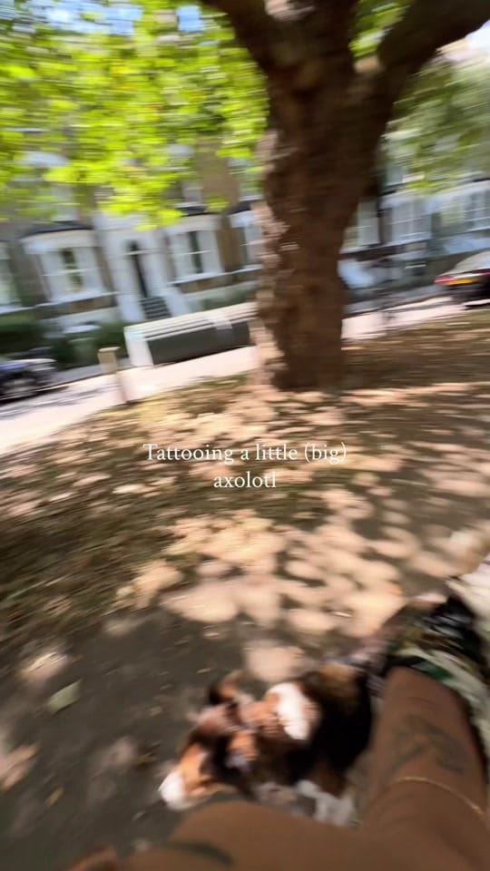 Post 6 by Mónica Chaves on TikTok (video)