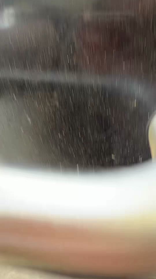 Post 5 by Morgan| Sourdough | My Life on TikTok (video)