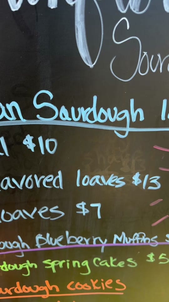 Post 3 by Morgan| Sourdough | My Life on TikTok (video)