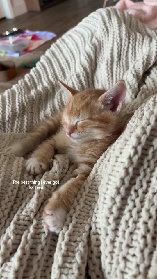 Post 2 by Emerson Huette on TikTok (video)