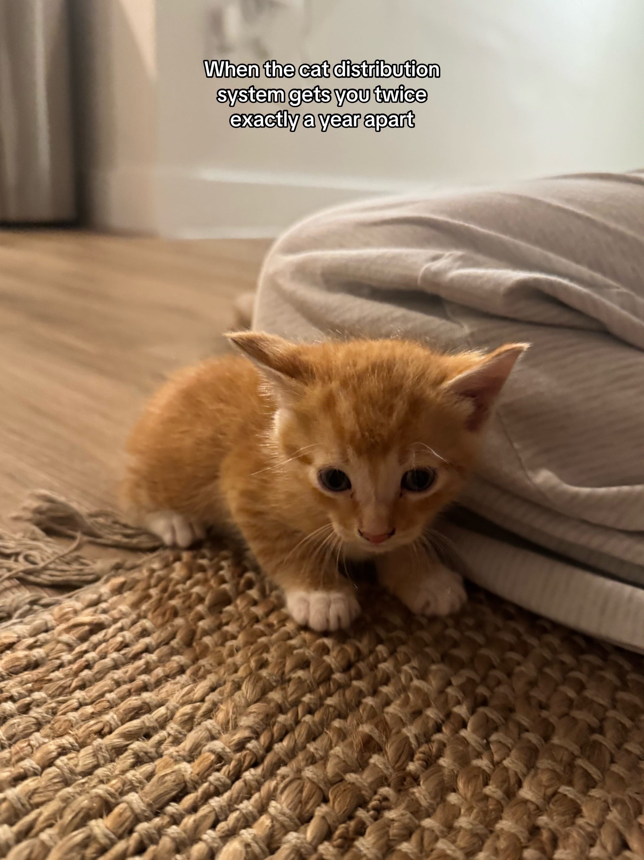 Post 5 by Emerson Huette on TikTok (video)