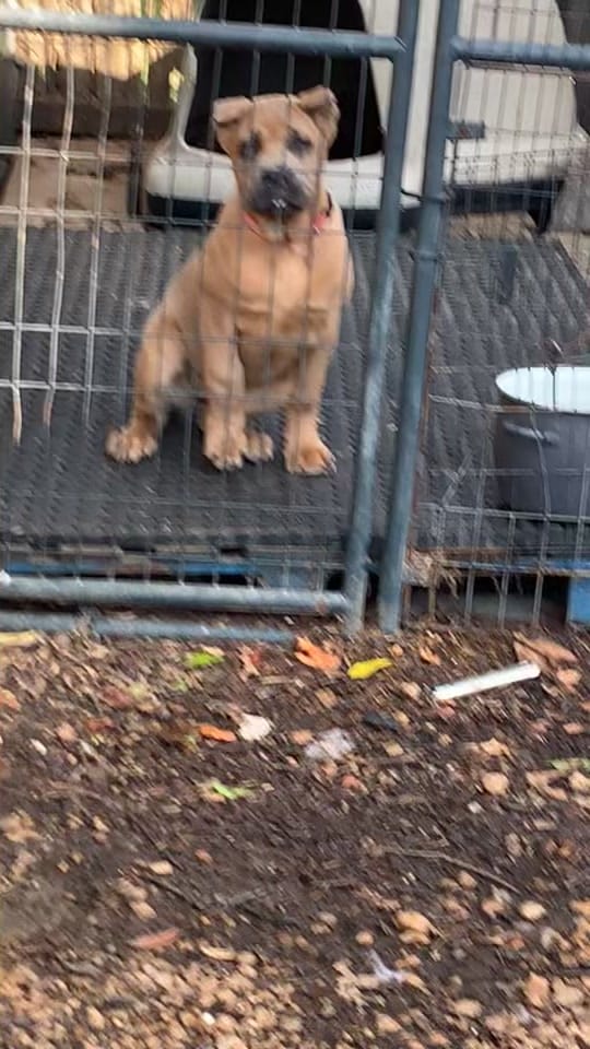 Post 2 by user1628713684298 on TikTok (video)