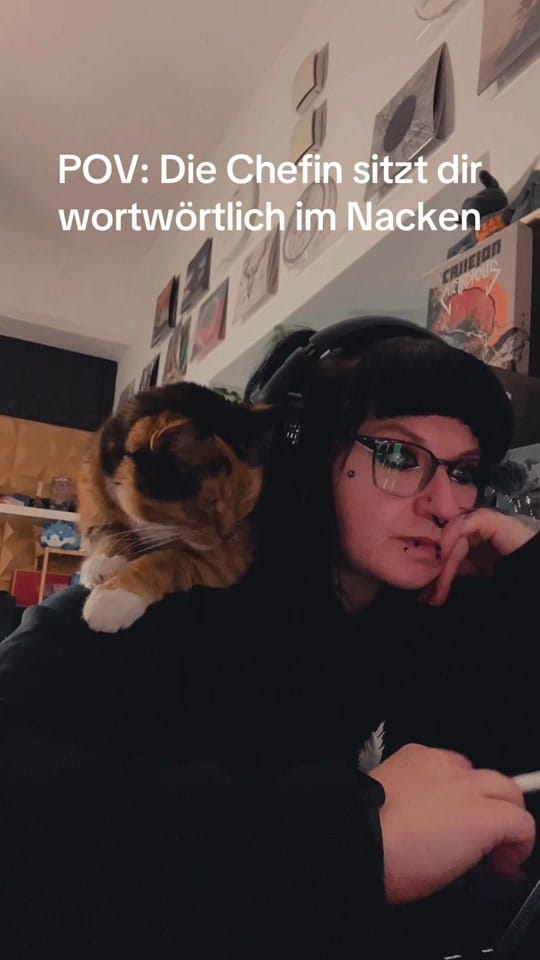 Post 3 by 🦊Artist_Nuki🦊 on TikTok (video)