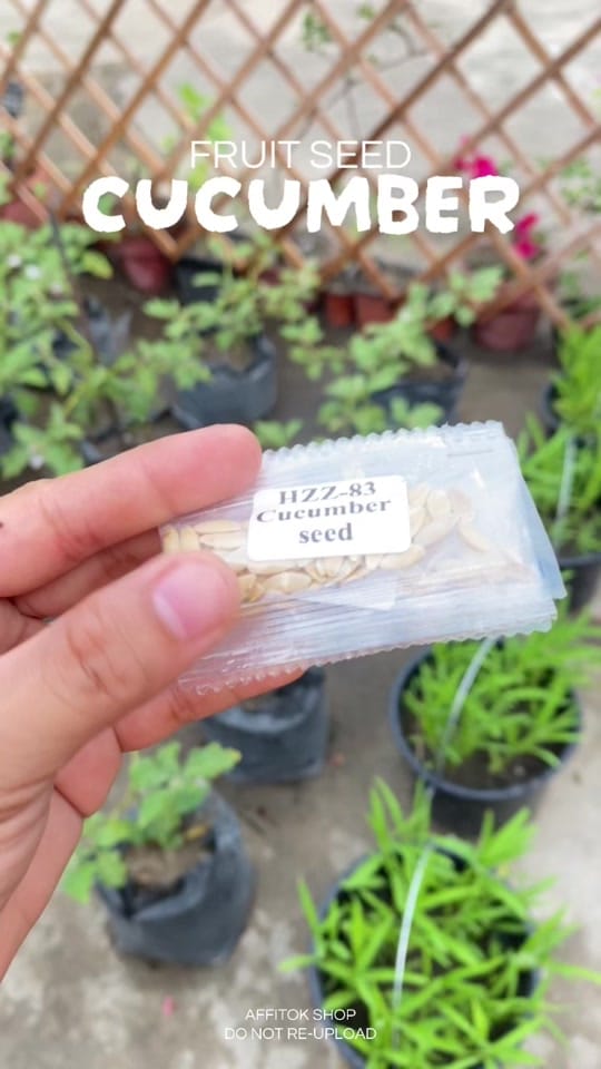 Post 5 by Affitok Shop on TikTok (video)