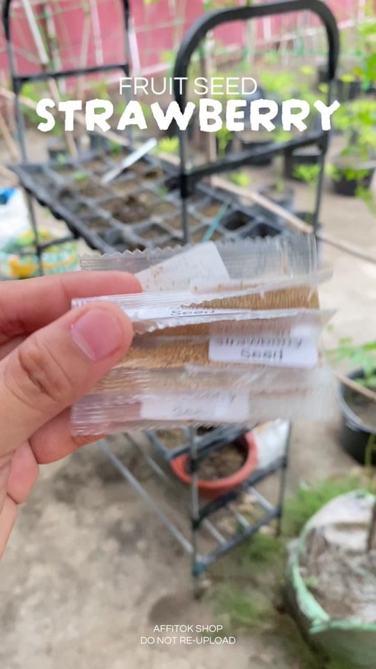 Post 1 by Affitok Shop on TikTok (video)