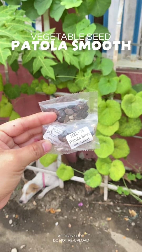 Post 7 by Affitok Shop on TikTok (video)