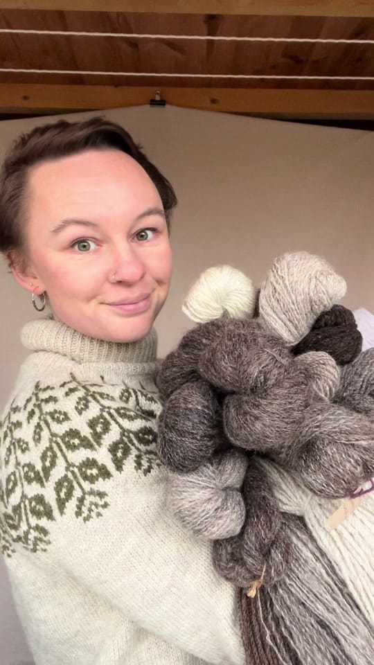 Post 7 by Littlebrownbirdco on TikTok (video)