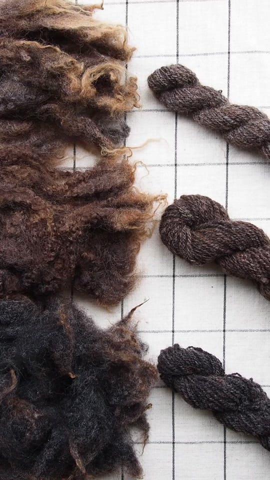 Post 1 by Littlebrownbirdco on TikTok (video)