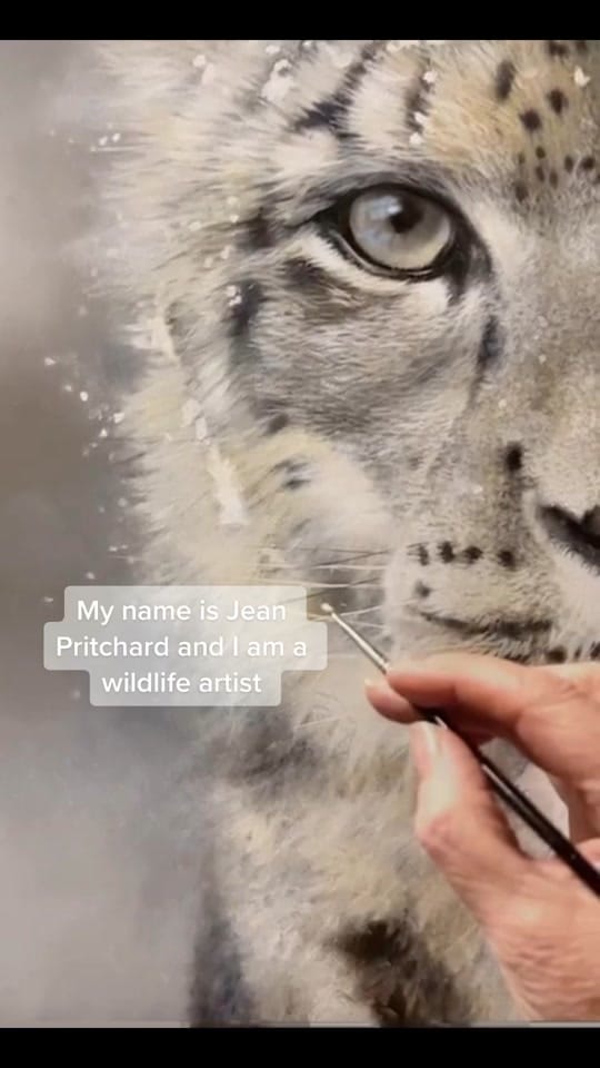 Post 10 by Jean Pritchard on TikTok (video)
