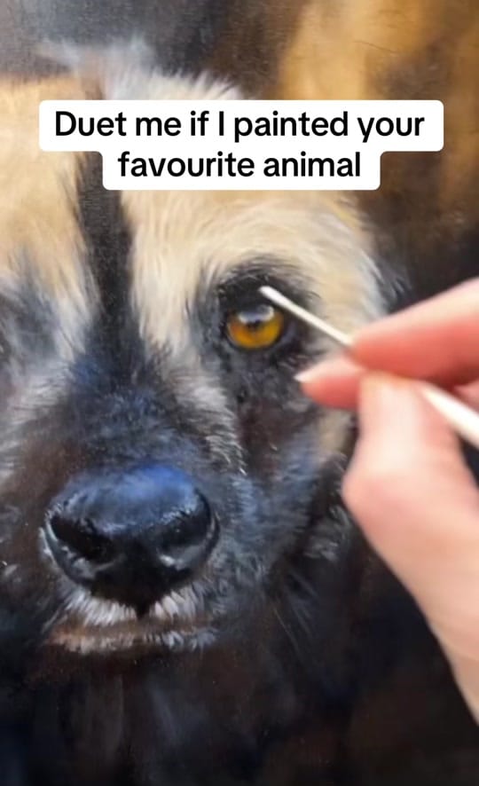 Post 3 by Jean Pritchard on TikTok (video)