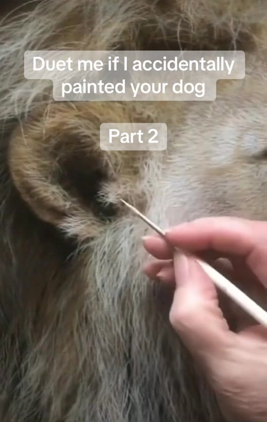 Post 5 by Jean Pritchard on TikTok (video)