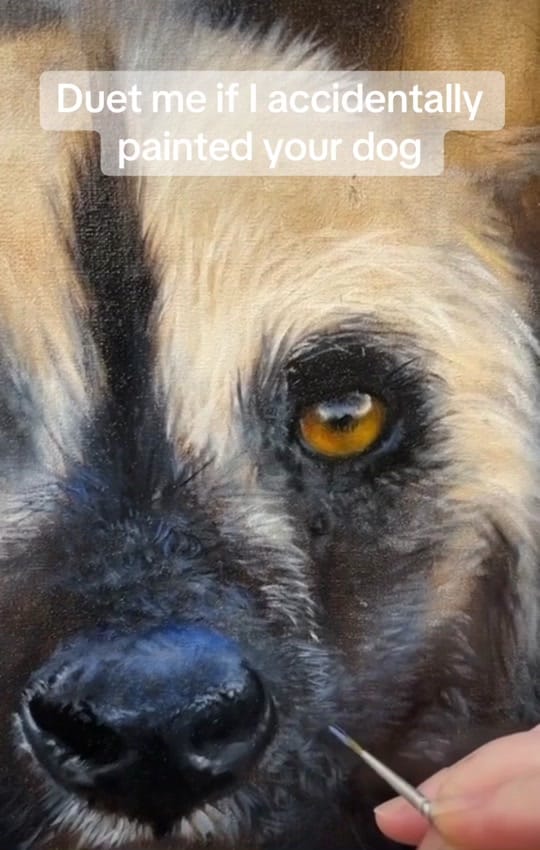 Post 6 by Jean Pritchard on TikTok (video)