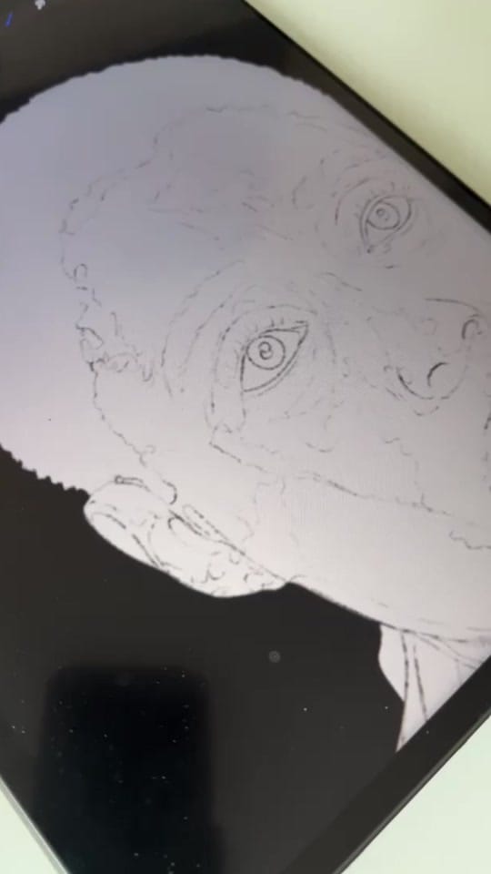 Post 2 by jason.davis.art on TikTok (video)