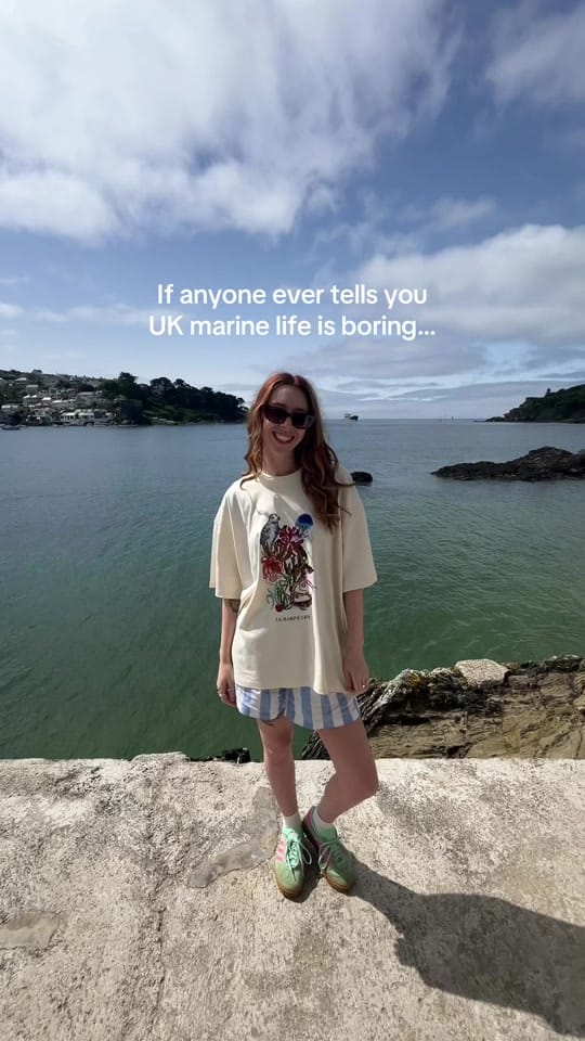 Post 1 by Rachael Farrar Artist on TikTok (video)
