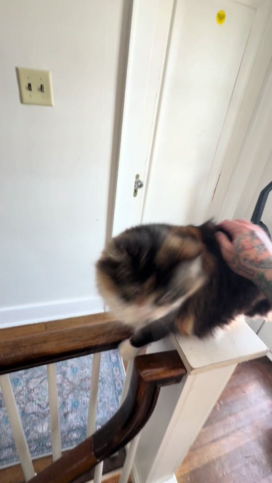 Post 4 by Brian Crawford on TikTok (video)