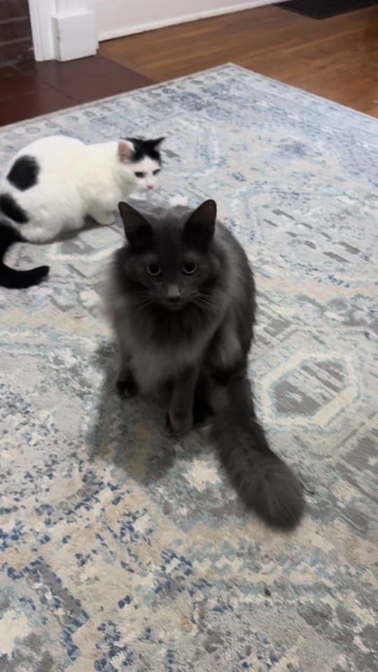 Post 6 by Brian Crawford on TikTok (video)