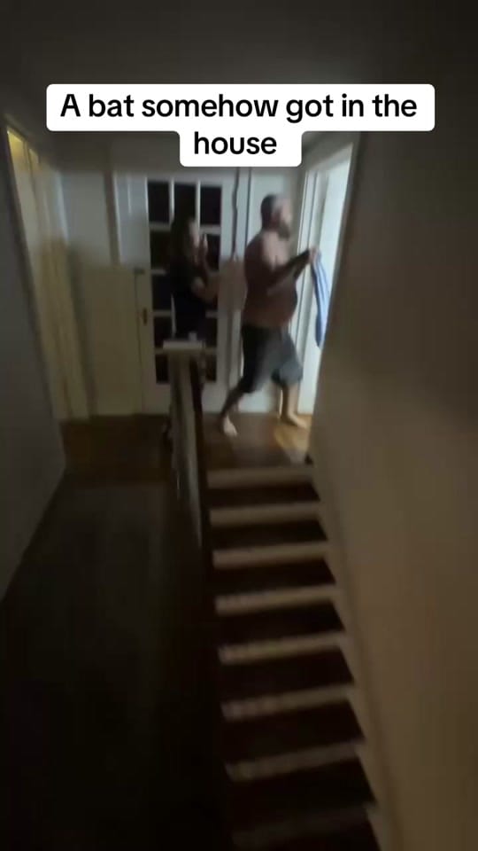 Post 9 by Brian Crawford on TikTok (video)