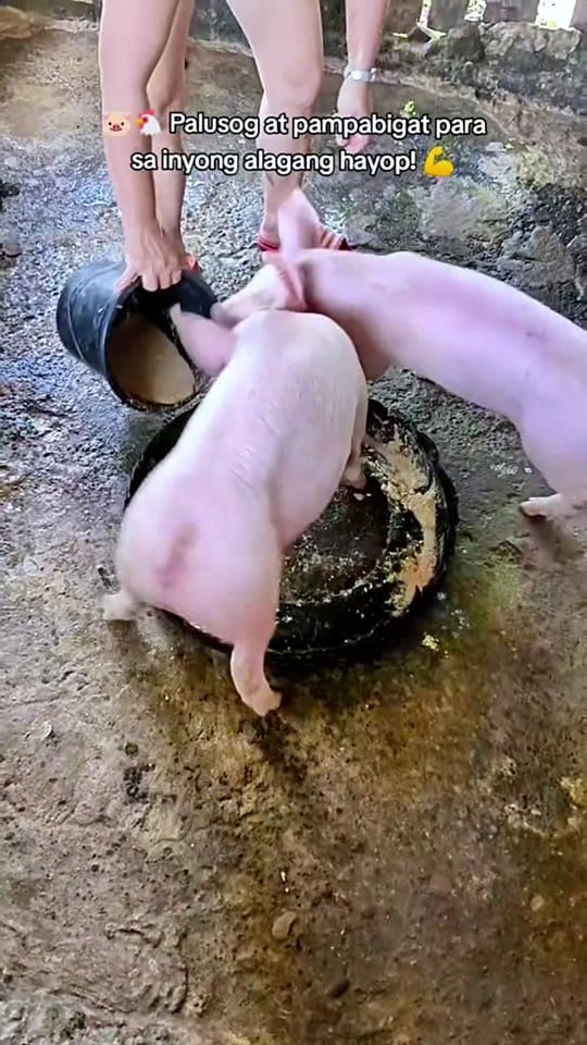 Post 5 by 🧿 My²_shop 🧿 on TikTok (video)