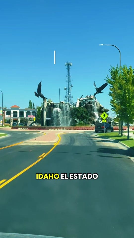 Post 9 by La Muchacha de Idaho🖤 on TikTok (video)