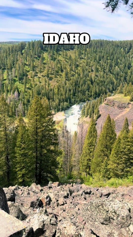 Post 7 by La Muchacha de Idaho🖤 on TikTok (video)