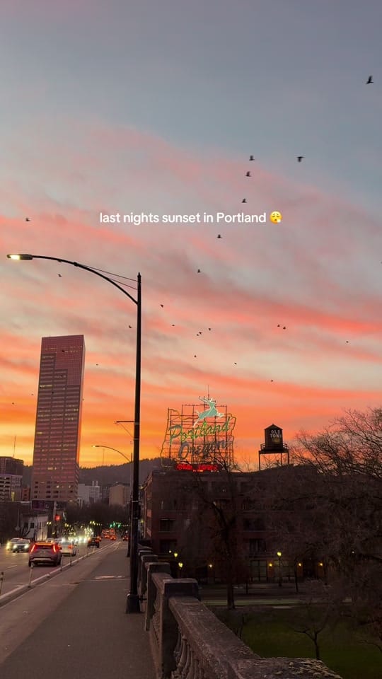 Post 6 by Ethan Makowsky on TikTok (video)