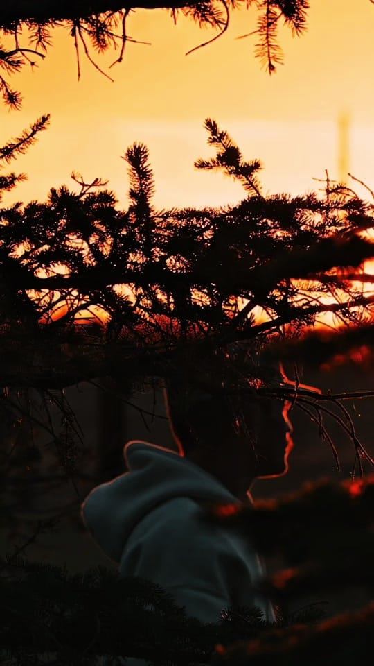 Post 2 by WyTracks on TikTok (video)